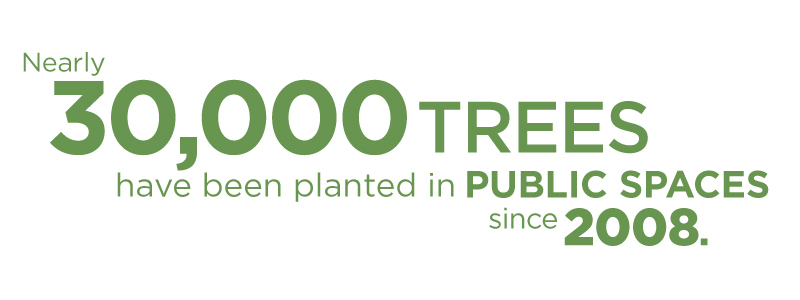 WPC has planted over 30K trees WPC has planted over 30K trees