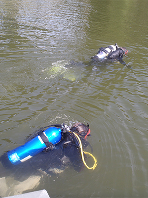 Scuba divers, Ohio River, mussel survey