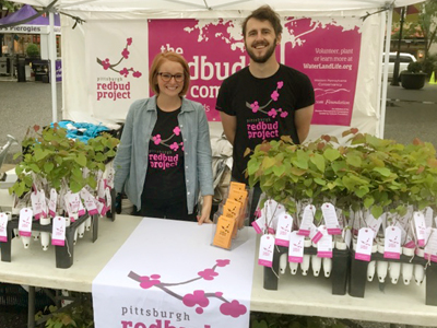 Pittsburgh Redbud Project seedling giveaway