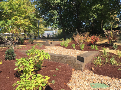 WPC Greening - Point State Park Bioswale