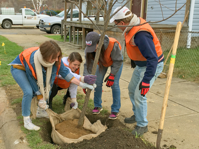 Volunteer to Plant Trees