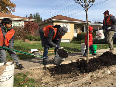 TREES-TreeVitalize-SwisshelmPark-Volunteers-Planting-Fall-2017-400×300
