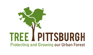 Tree Pittsburgh