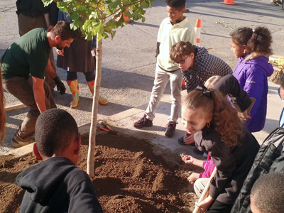 Barrett Elementary School students planting trees.