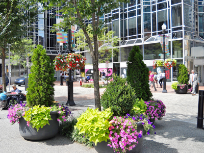 Planters and hanging flower baskets in Market Square, Pittsburgh