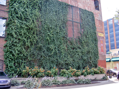 Green wall in Downtown Pittsburgh