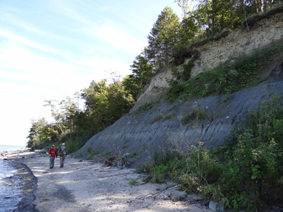 This photo shows the contrast between the upper sandy layer, and the lower clay layer, which make up the bluffs.