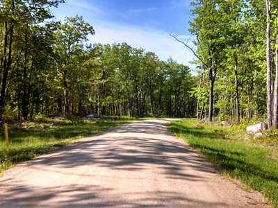 A new road bisects an oak forest in Clearfield County.