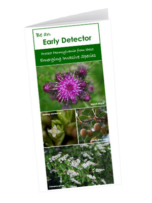 WPC Early Detector Invasive Species Brochure-300x400