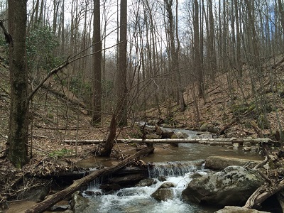 A view Bruner Run in Dunbar Township, Fayette County. WPC is Expanding SGL 51 with this new land acquisition.