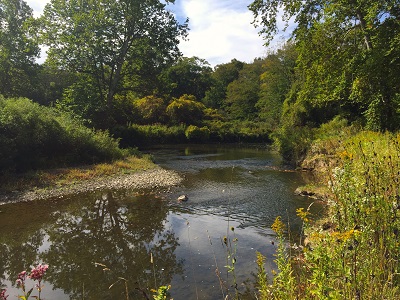 South Branch French Creek Conservation Area in Erie County