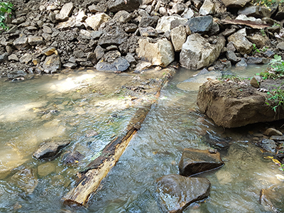 The Evergreen Conservancy, located in Indiana, Pa., received a watershed mini grant to remediate a stream bank on Laurel Run in Yellow Creek State Park in 2017. Using several streambank restoration methods, they stabilized the bank, decrease sedimentation into the stream and created fish habitat.