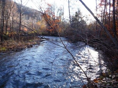 A Stream on WPC’s New Conservation Easement Donation in Cameron County