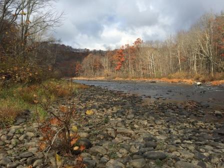 35 Acres Added to WPC’s Casselman River Conservation Area in Somerset County.