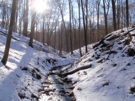 WPC’s Toms Run Nature Reserve in Kilbuck Township, Allegheny County in winter