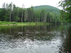 Newly Donated Conservation Easements along Loyalsock Creek in Sullivan County