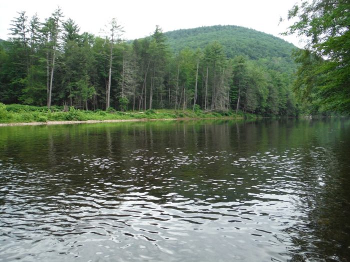 Newly Donated Conservation Easements along Loyalsock Creek in Sullivan County