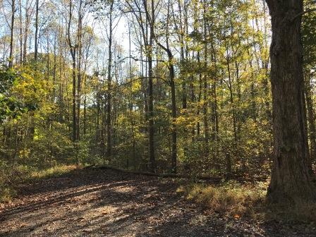 Four acres have been added to Bear Run Nature Reserve in Fayette County.