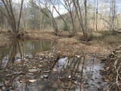 WPC Expands its Sideling Hill Creek Conservation Area_Floodplain on protected property