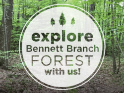 Member Hike 2019: Bennett Branch Forest Aug 9, 2019