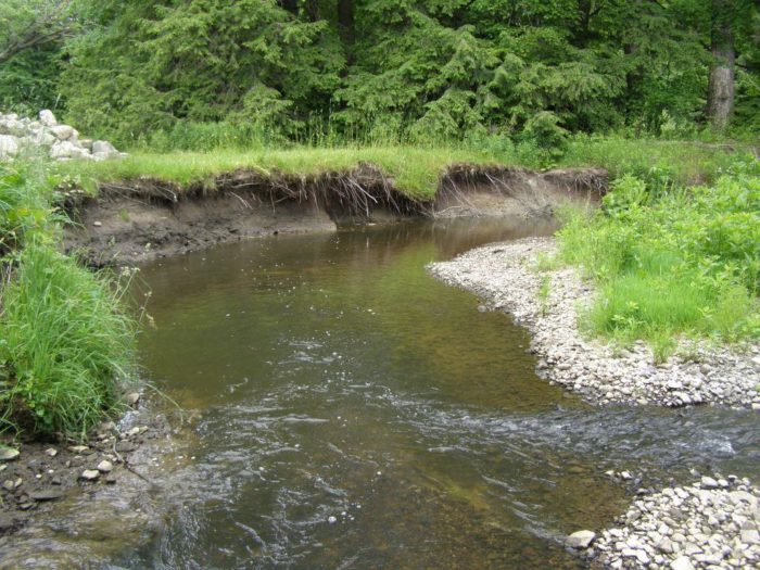 Stream bank erosion in Erie County