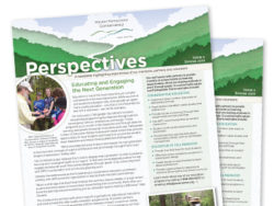 WPC Perspectives Newsletter 2020