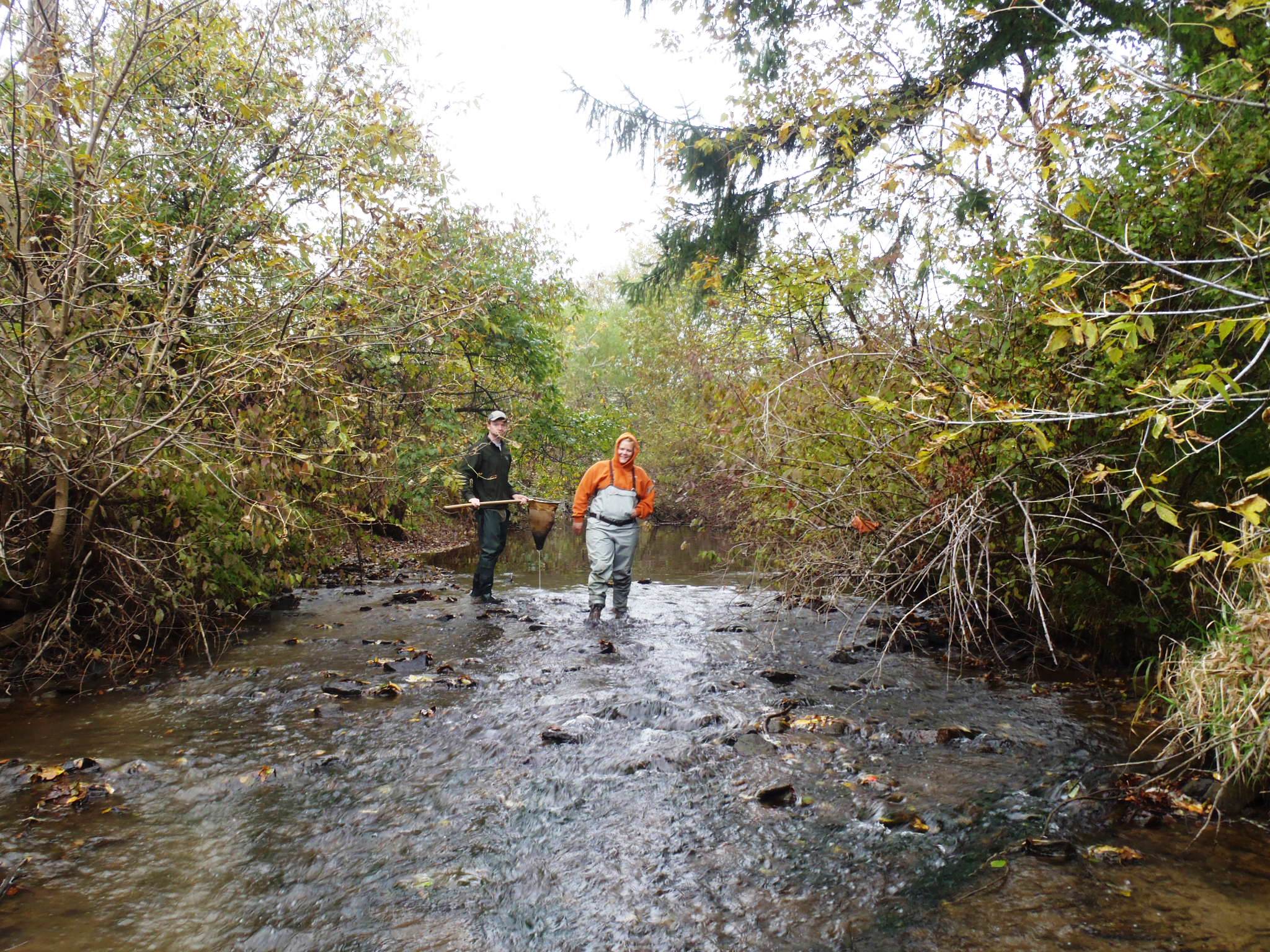 WPC, Partners to Improve Water Quality, Habitatin the Buffalo Creek