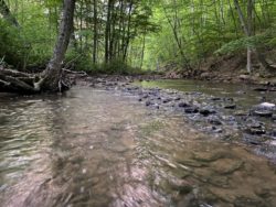 WPC Protects 50 Acres in Loyalhanna Creek Watershed along Coalpit Run