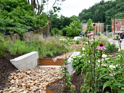 Bioswale at Centre and Herron in Larimer neighborhood of Pittsburgh
