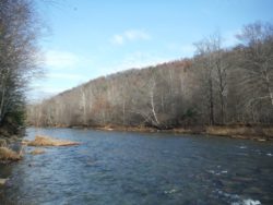 Acres Protected by WPC for Moshannon State Forest