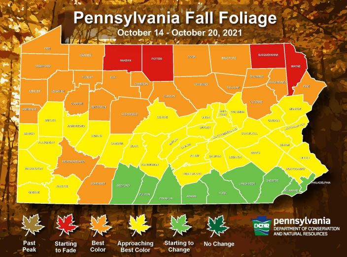 Fall Foliage Report1 - Western Pennsylvania Conservancy