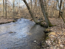 WPC Protects 173 Acres along Mill Creek (46)-web