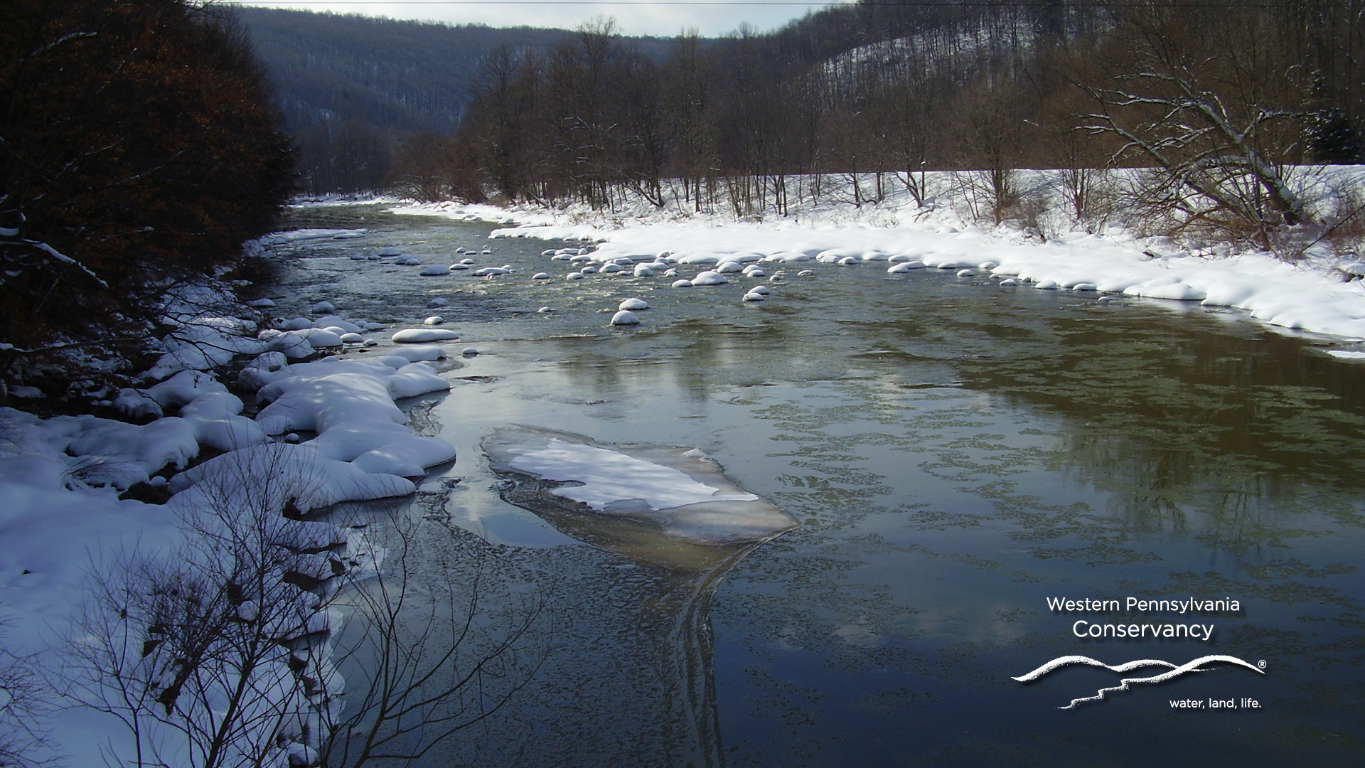 WPC Virtual Background_Casselman_River