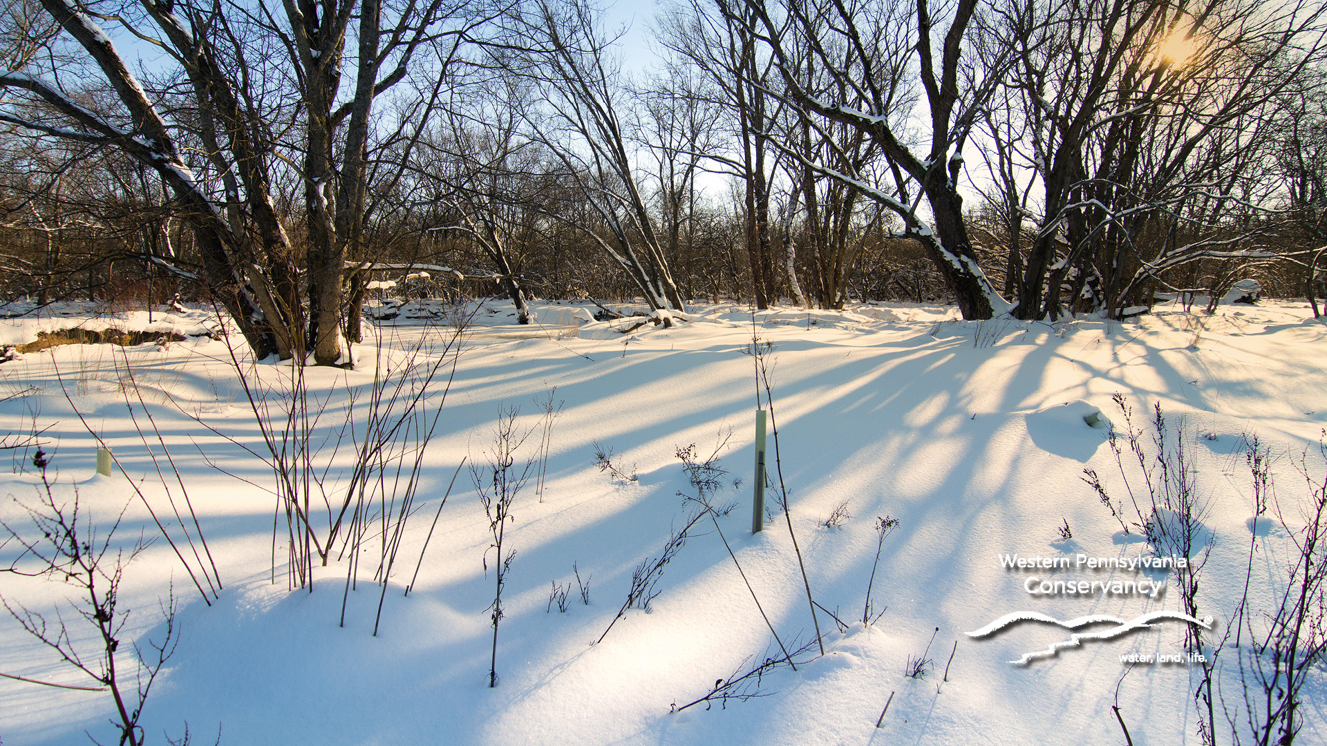WPC Virtual Background_West_Branch_French_Creek