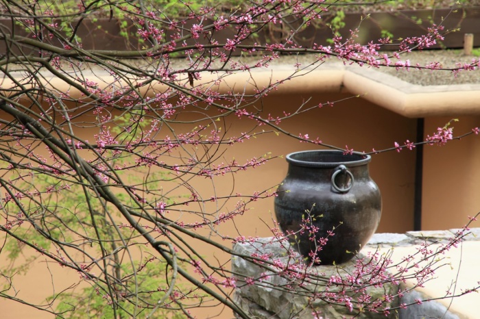 Fallingwater’s Landscape and the Art of Observation: Feb. 11