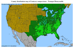 Image of Plant Native Range Map