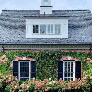 English Ivy on house exterior
