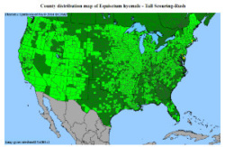 Horsetail distribution map