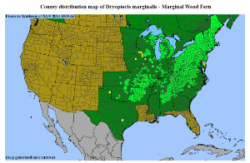 Marginal Woodfern distribution map