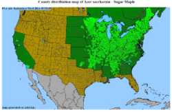 Sugar Maple Distribution Map