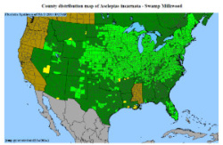 Swamp milkweed distribution map