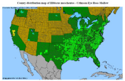 Swamp Rose Mallow distribution map
