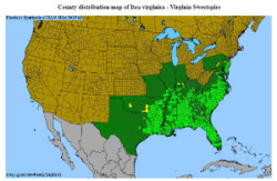 Virginia Sweetspire distribution map