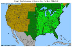 White Oak distribution map