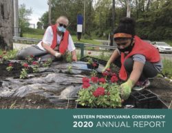 Cover of 2020 WPC Annual Report