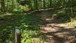 Photo of Bear Run Nature Reserve trail marker