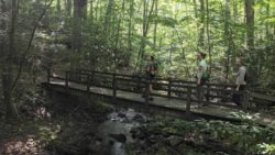 Photo of Bear Run Nature Reserve hikers on footbridge