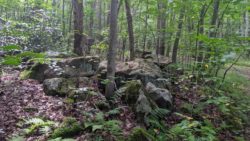 Photo of Bear Run Nature Reserve forest boulders