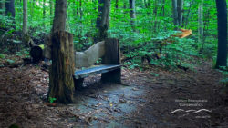 Photo of rustic bench at Wolf Creek Narrows Natural Area