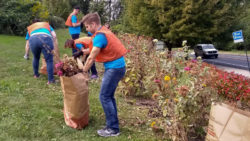 Photo of Volunteers at Community Flower Garden Clean-Up